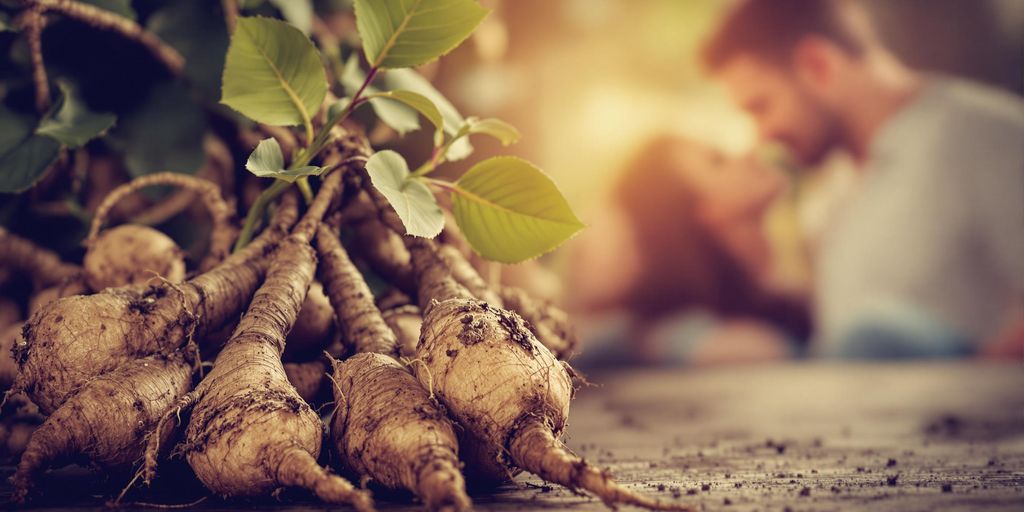 Raíces y hojas de Ashwagandha con pareja romántica.