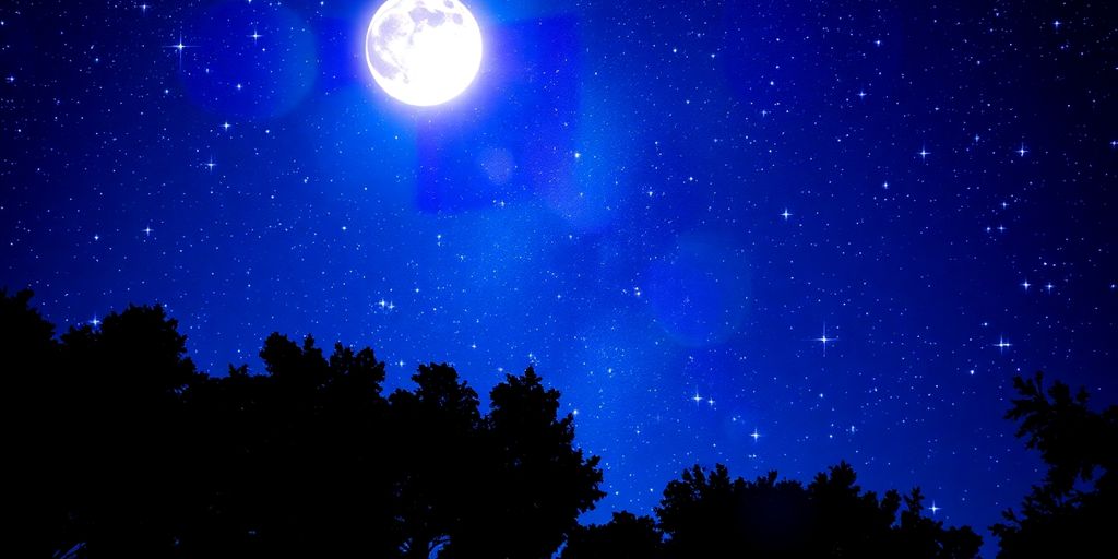 Cielo estrellado con árboles en silueta y luna brillante.